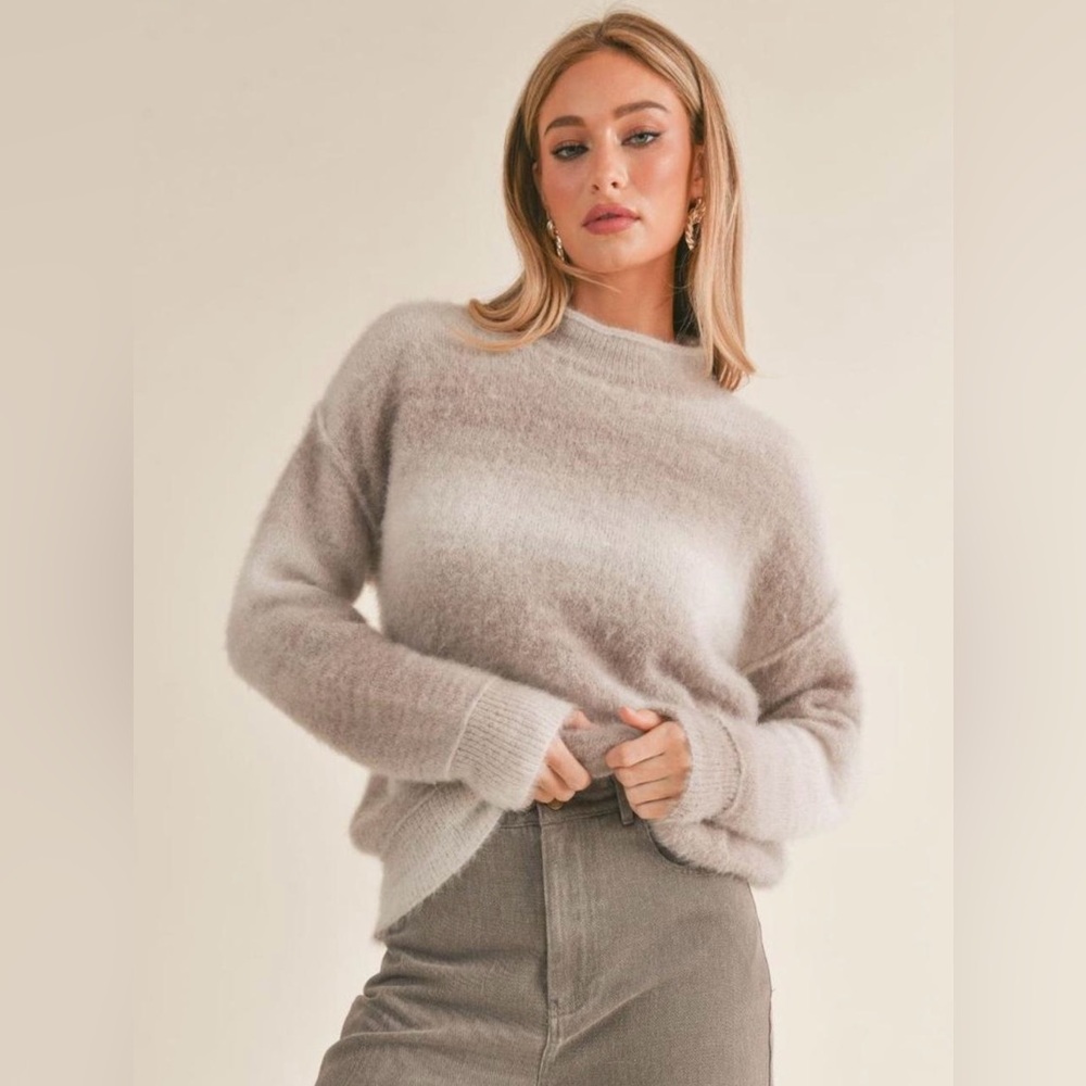 Women's Sage The Label Ombre Knit‎ Pullover Sweater Size XS Soft Relaxed Fit